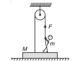 neet question for equilibrium NLM